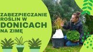 Jak zabezpieczyć rośliny W DONICACH na zimę, przed mrozem ?