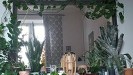 ZBRODNIE WOJENNE NIE ULEGAJĄ PRZEDAWNIENIU
