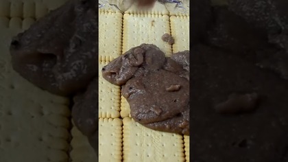 Ciasto Stefanka bez pieczenia #shorts #gotowanie #food #jedzenie #smakowitedania #cooking #przepis