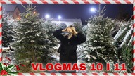 WSPÓLNIE UBIERAMY CHOINKĘ / VLOGMAS 10 I 11