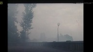 SEZON NA BAŻANTY (1986)