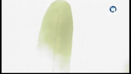 Historia Indian cz.  2 - Wizja Tecumseha . lektor.pl western