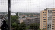 Księżyc, lasy i potwory  INSPIRACJE WAKACJI 2020