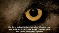 Shapeshifters from all around the world compilation