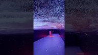 Tunel z animacją 3D