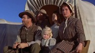 Cimarron 1960 lektor pl. western