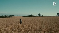 Living. and. Dead. 2016.pl. S01E02. 720p. HDTV. X264-J