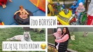 ZOO BORYSEW :) LICZĄ SIĘ TYLKO KROWY 