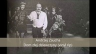 Andrzej Zaucha - Dom złej dziewczyny (vinyl rip)
