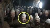 Naukowcy odkryli w jaskini pod jeziorem COŚ, co przeraziło świat!