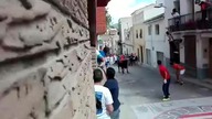 Niespodziewany gość w domu