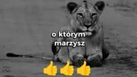 Zacznij coś robić teraz nie jutro  #motywacja #inspiracja #działanie #sukces