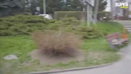 W historii z Bystrzycy Kłodzkiej jest wiele wątpliwości.  Kto był napastnikiem, a kto ofiarą¿ Czy  mp4 686x432