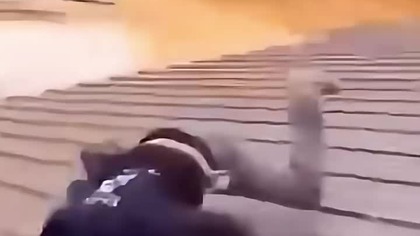 Zdecydowanie muszę znaleźć nową pracę...