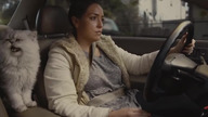 Zrobił reklamę używanej Hondy Accord z 1996 sprzedawanej przez jego dziewczynę