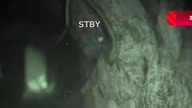 ZROBIŁO SIĘ STRASZNIE | #shorts #youtubeshorts #ytshorts #short #shortvideo