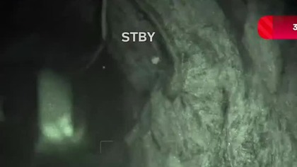 ZROBIŁO SIĘ STRASZNIE | #shorts #youtubeshorts #ytshorts #short #shortvideo