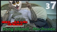 Król Julian śpiewa [#37] ft. Gang Albanii - Marichuana - Full HD