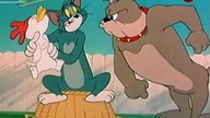 Tom i Jerry 65 (Lektor PL)