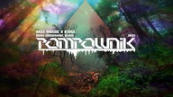 Bass Motive x B3nte - Bonka (DrugONmode Remix)