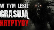 W tym lesie grasują Kryptydy - Reddit CreepyPasta [Lektor PL]