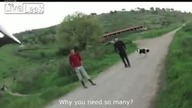 Jak wygląda atak 25 ps&oacute;w na człowieka