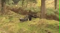 Freeride rowerowy - Earthed 4