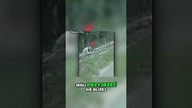 Co to za istota?