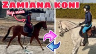 ZAMIENIAMY SIĘ Z MOJĄ MAMĄ KOŃMI | rutyna z 2 końmi