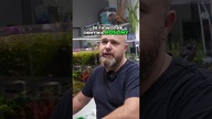 Sekret czystego akwarium? Cyrkulacja! 