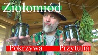 Pokrzywa i Przytulia.  Wysuszyłem, zmieliłem, zalałem miodem.