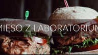 Jadalne mięso z laboratorium?