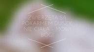 Zwierzęta są pokarmem Duszy, nie ciała  mówi Bóg!