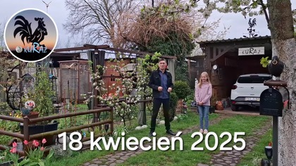 W Garden kuRaż * Pada deszcz * 18.  04.  2025