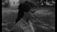Au. Hasard. BalthazarNa. Los. Szczęścia. Baltazarze. 1966. Lektor.pl
