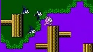 Tiny Toon Adventures  - przewodnik po grze (NES)