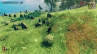 Valheim krótki