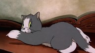 ..Tom i jerry Odcinek 1 - Eksmisja 1080p