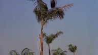 The. A-Team. S01E09. Holiday. in. the. Hills.pl. 720p. BDRip. XviD. AC3-DReaM