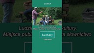 ŁAWKA - Suchary