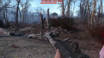 1 Vs 10TH Fallout 4 Run