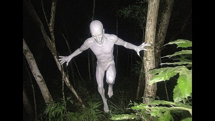 Dron Przypadkowo Zrobił Przerażające Zdjęcie Podczas Lotu Nad Dżunglą