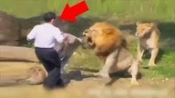 10 Najgłupszych Gości w ZOO
