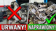 C. W.  25 - tdi które nie umiera nigdy, problematyczny zwijak w A4 B8.