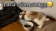 tak poważnie jeszcze nie było