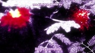 Dance in the Vampire Bund ODC 6 Napisy PL