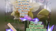 Rozkwitajmy jak Kwiaty - jasnowidzjacek.blogspot.com
