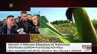 Dzik jest dziki, rolnik jest zły