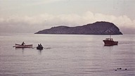 Island Of Terror (1966) [wgrane napisy pl]