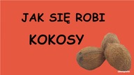 Jak Owsiak robi kokosy 1080p